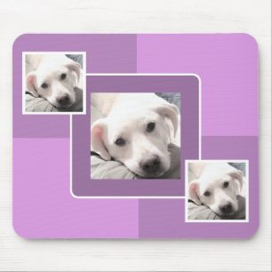 Einfaches Drei Foto Modernes Square Design Lila Mousepad