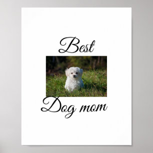 Einfaches farbenfrohes Tier Namensfoto Hundemutter Poster