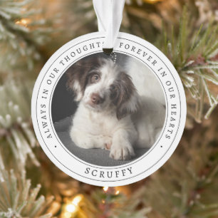Einfaches Gedenkfoto für Hund und Haustier Ornament
