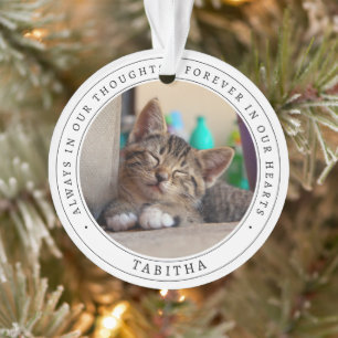 Einfaches Gedenkfoto für Katzen Ornament
