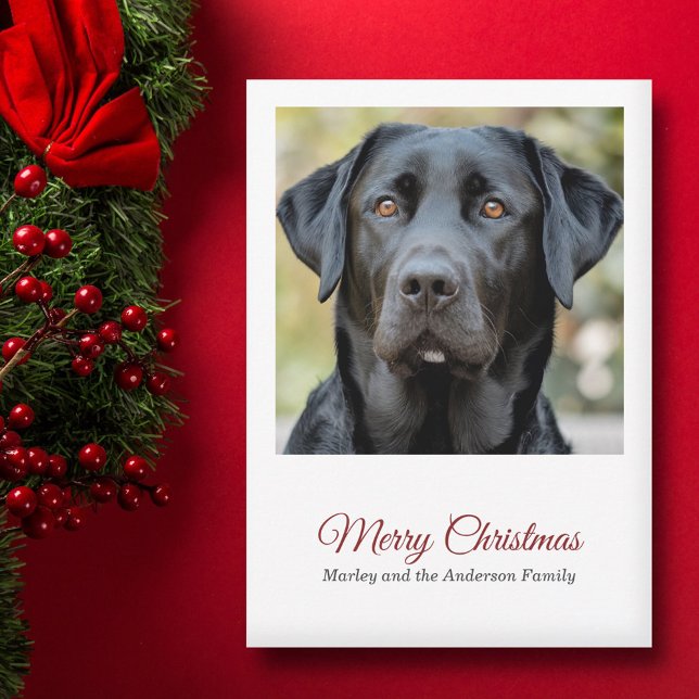 Einfaches Hund Foto Frohe Weihnachtskarte Feiertagskarte (Simple Dog Photo Merry Christmas Holiday Card)