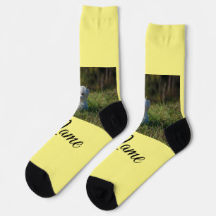 Einfaches Kolorful tier add name foto custom throw Socken