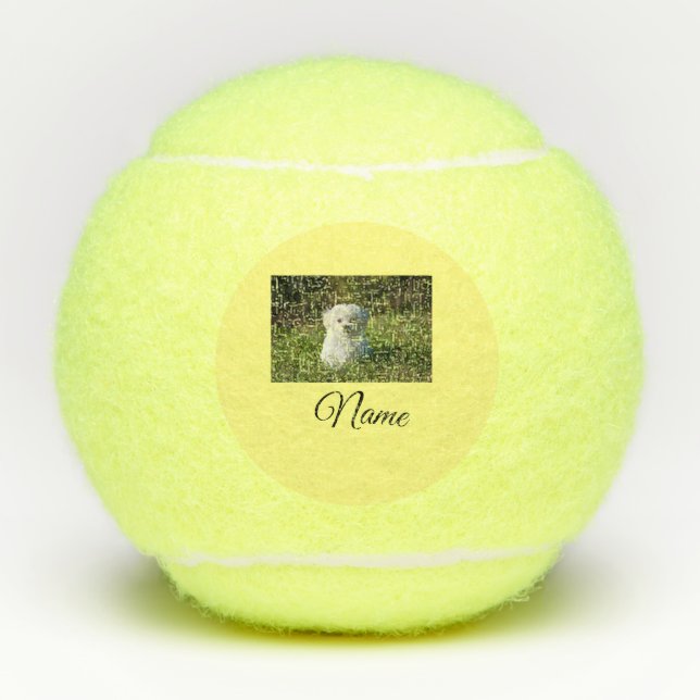 Einfaches Kolorful tier add name foto custom throw Tennisbälle (Vorderseite)