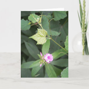 Einfaches Leben ... Ist nicht einfach Blume Zitat Karte