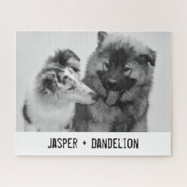 Einfaches, modernes Foto für Haustiere oder Person