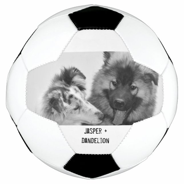 Einfaches, modernes Foto für Haustiere oder Person Fußball (Vorderseite)