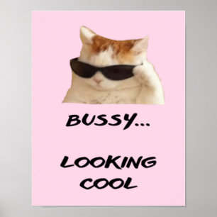 Einfaches Plakatangebot in Rosa für Katzenliebhabe Poster