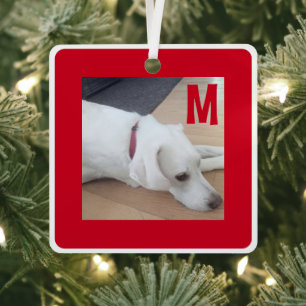 Einfaches Rot-Weiß-Foto des Hundes nach Kundenwuns Ornament Aus Metall