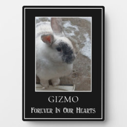 Einfaches Single Foto Het Rabbit Memorial Fotoplatte