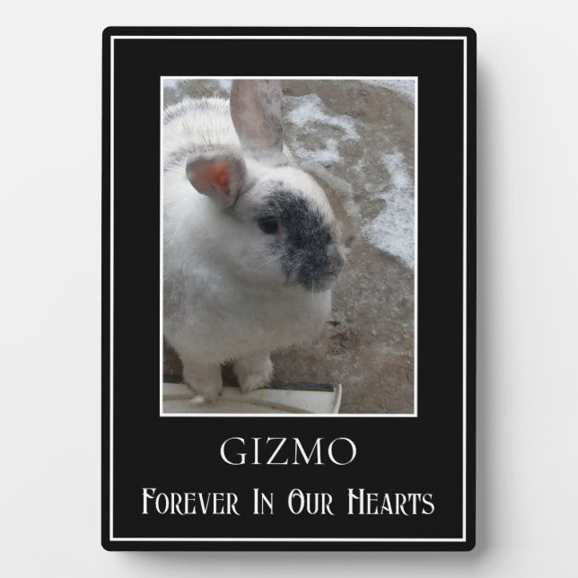 Einfaches Single Foto Het Rabbit Memorial Fotoplatte (Vorderseite)