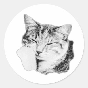 Einfarbige Aufkleber für Tabby-Katzen