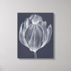 Einfarbige Tulpe I Leinwanddruck