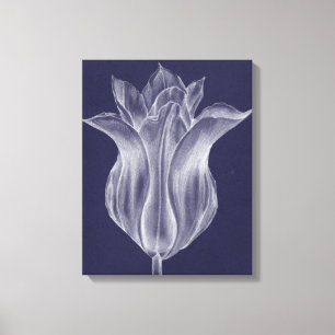 Einfarbige Tulpe III Leinwanddruck