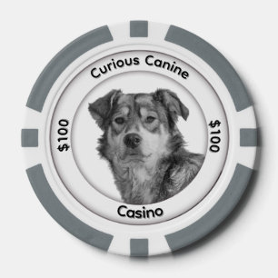 Einfarbiger Mischlingshund mit drei Textfeldern Pokerchips