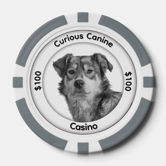 Einfarbiger Mischlingshund mit drei Textfeldern Pokerchips (Vorderseite)