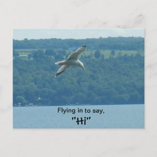EINFLIEGEN, UM "HI"-Postkarte zu SAGEN Postkarte