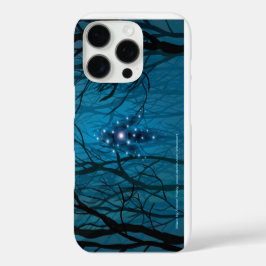 Einfrieren in die Leere iPhone 16 Pro Hülle