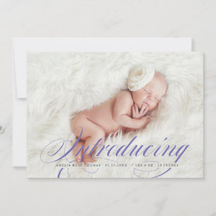 Einführung des eleganten Vollblutjungen Fotos New  Ankündigung