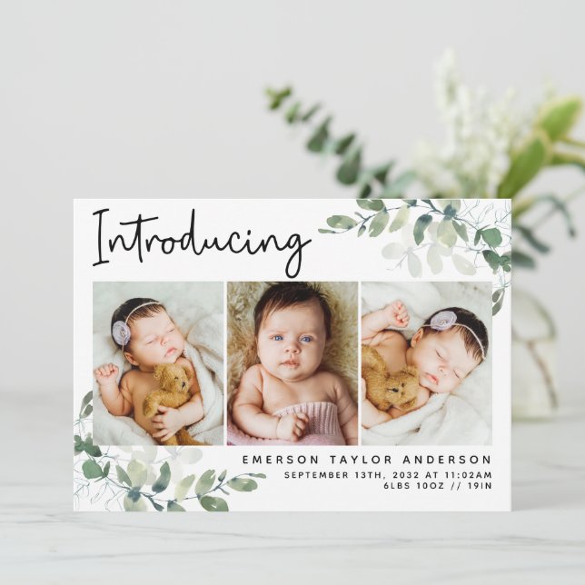 Einführung des modernen Fotos Eukalyptus Birth Ankündigung (Stehend Vorderseite)