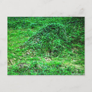 Eingang zur Fee I Postkarte