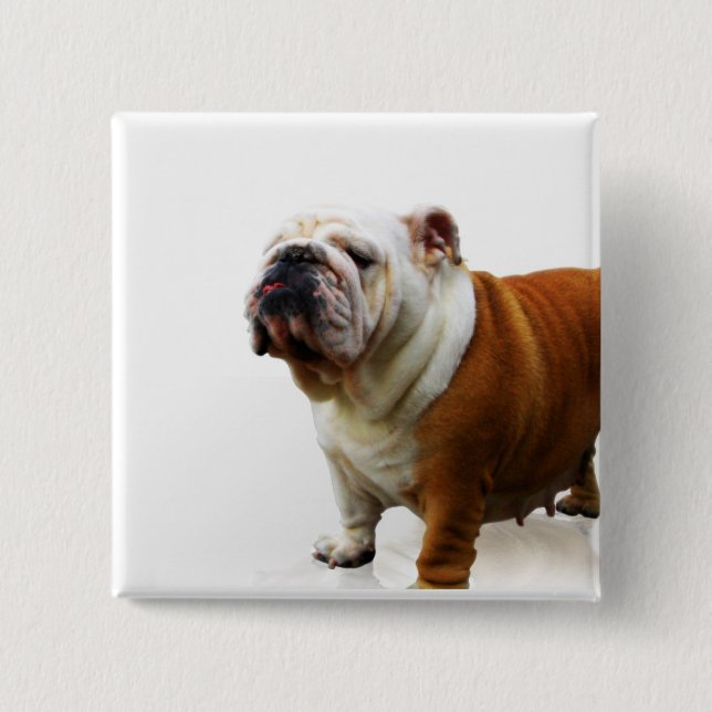 Eingebildeter Bulldoggen-Knopf Button (Vorderseite)