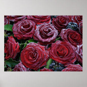 Eingefrorene dunkelrote Rosen auf einem Grab Poster