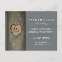 Eingeschnittene Initialen Herz Eichenbaum Save The