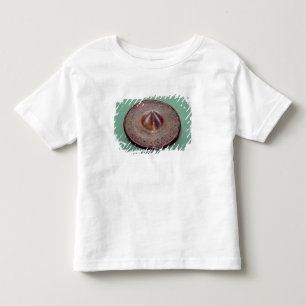 Eingeschnittener Buttonkopf, aus Irland, c.700 BC Kleinkind T-shirt