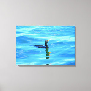 eingewickelte Leinwand der Schwimmens Kormoran