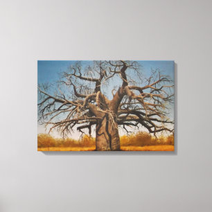 Eingewickelte Leinwand des Baobab-Baums