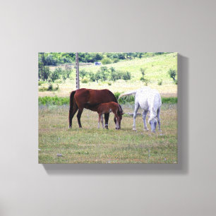 Eingewickelter Leinwand-Druck, Pferdefamilie Leinwanddruck