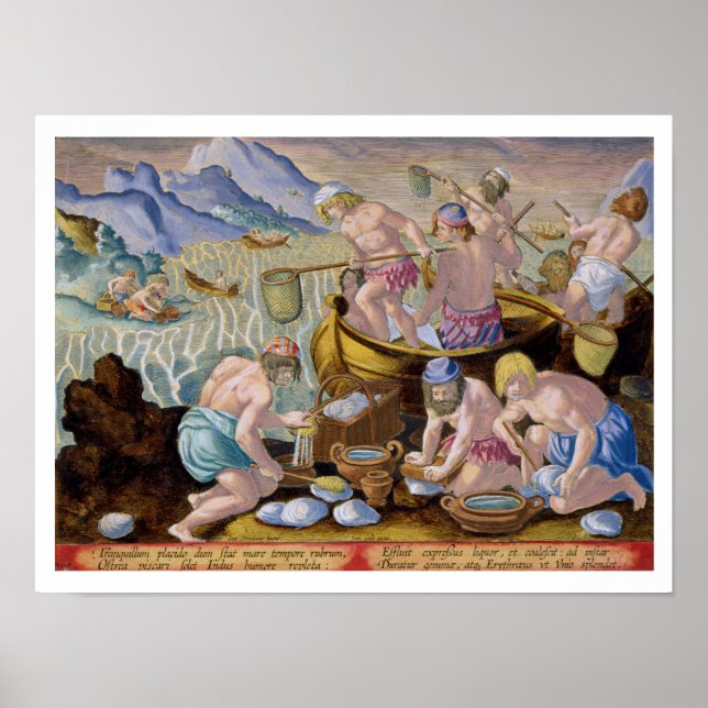 Einheimische, die für Riesenmuscheln an der Indus, Poster (Vorne)