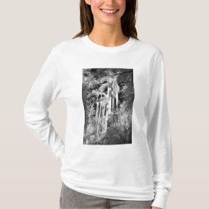Einheimische Königspalmen in Fakahatchee Strand, T-Shirt