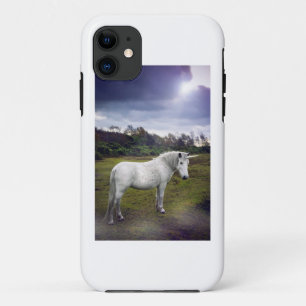 EINHORN TITLE_SEO2