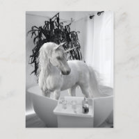 Einhorn in der Badewanne