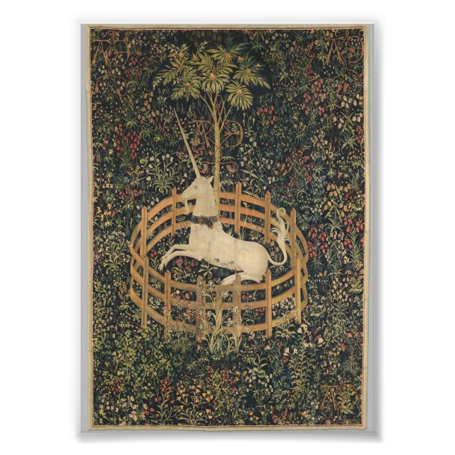 Einhorn in Gefangenschaft Fotodruck (Vorne)