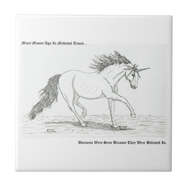 Einhorn ist echt fliese (Vorderseite)