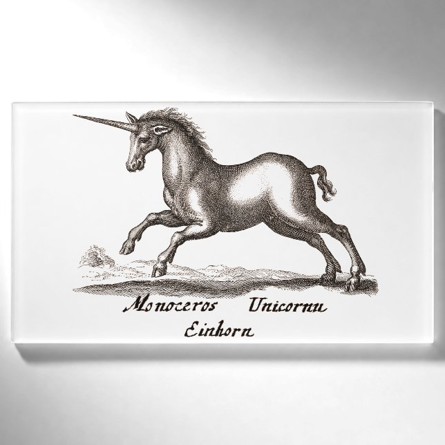 Einhorn-Klassik-Kreatur, die magisches Woodland lä Namenschild (Vorderseite)