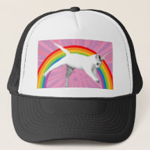 Einhorn-Regenbogen-Katze