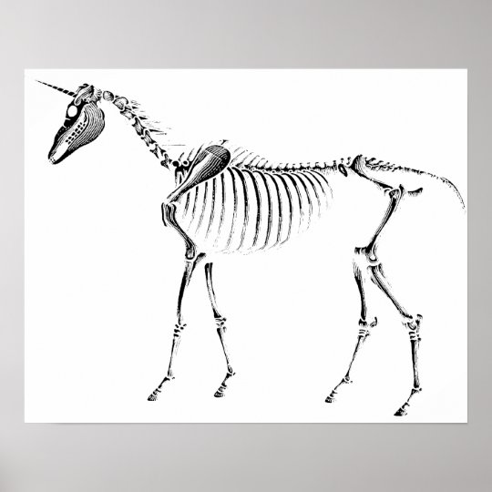 EinhornSkelett Poster Zazzle.ch