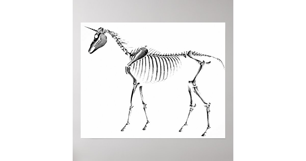 EinhornSkelett Poster Zazzle.ch