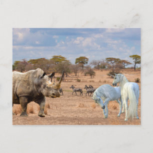 Einhörner Würfel Nashorn Afrika Postkarte