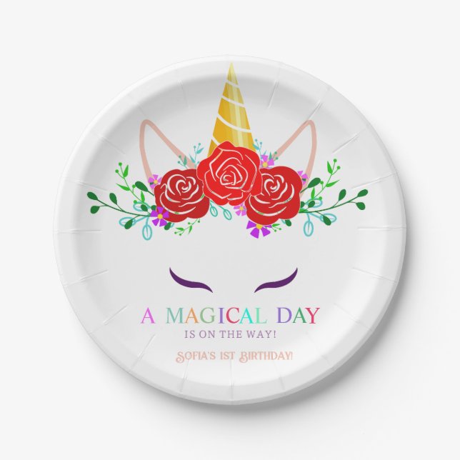 Einhornstaub Pappteller (Vorderseite)