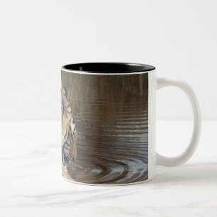 Einhüllungswasser des Tigers (Panthera der Tigris Zweifarbige Tasse