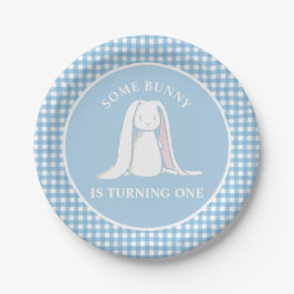 Einige Bunny ist One blue Gingham Birthday Pappteller
