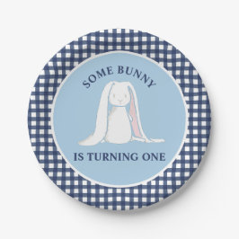 Einige Bunny ist One blue Gingham Birthday Pappteller