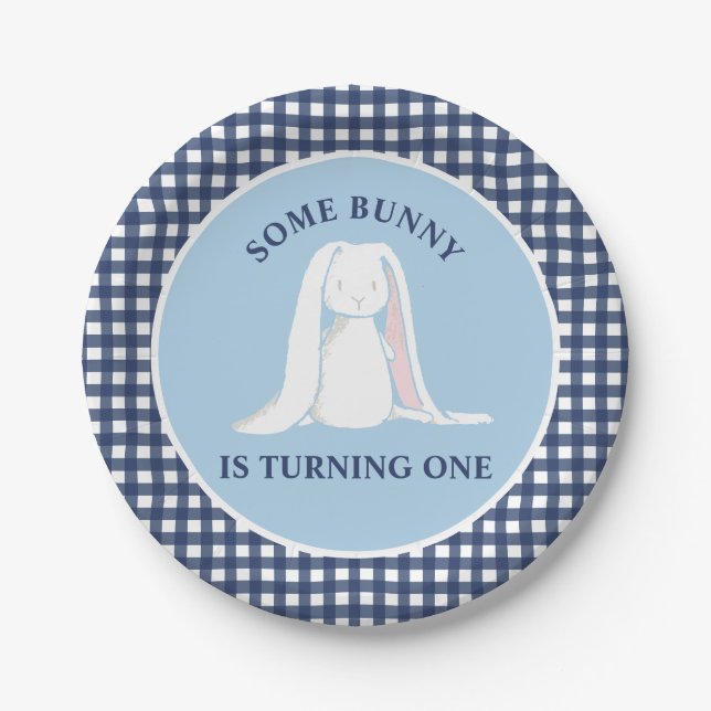 Einige Bunny ist One blue Gingham Birthday Pappteller (Vorderseite)