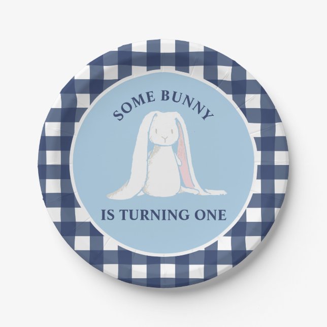 Einige Bunny ist One blue Gingham Birthday Pappteller (Vorderseite)
