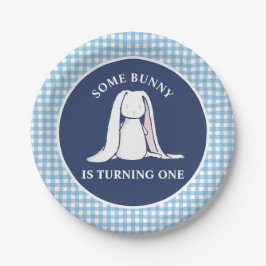 Einige Bunny ist One blue Gingham Birthday Pappteller
