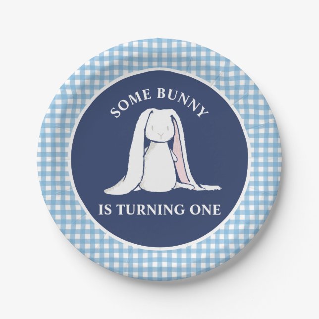 Einige Bunny ist One blue Gingham Birthday Pappteller (Vorderseite)